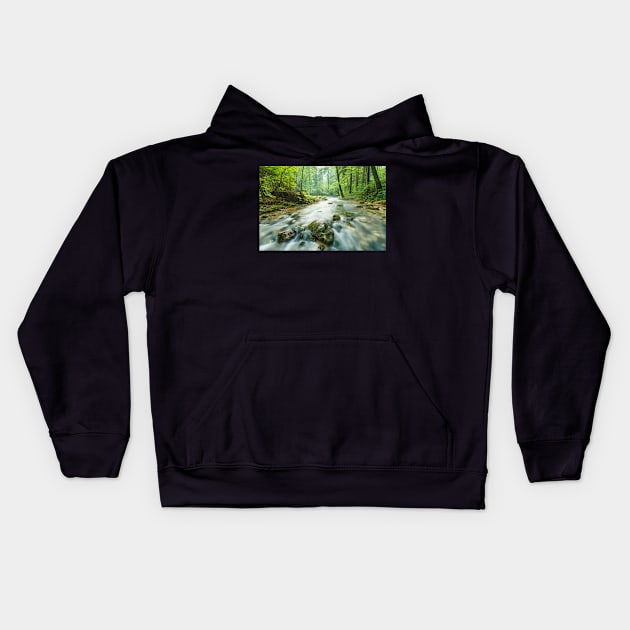 Morning landscape with river and forest Kids Hoodie by naturalis